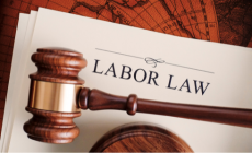 Labour Law Consultant
